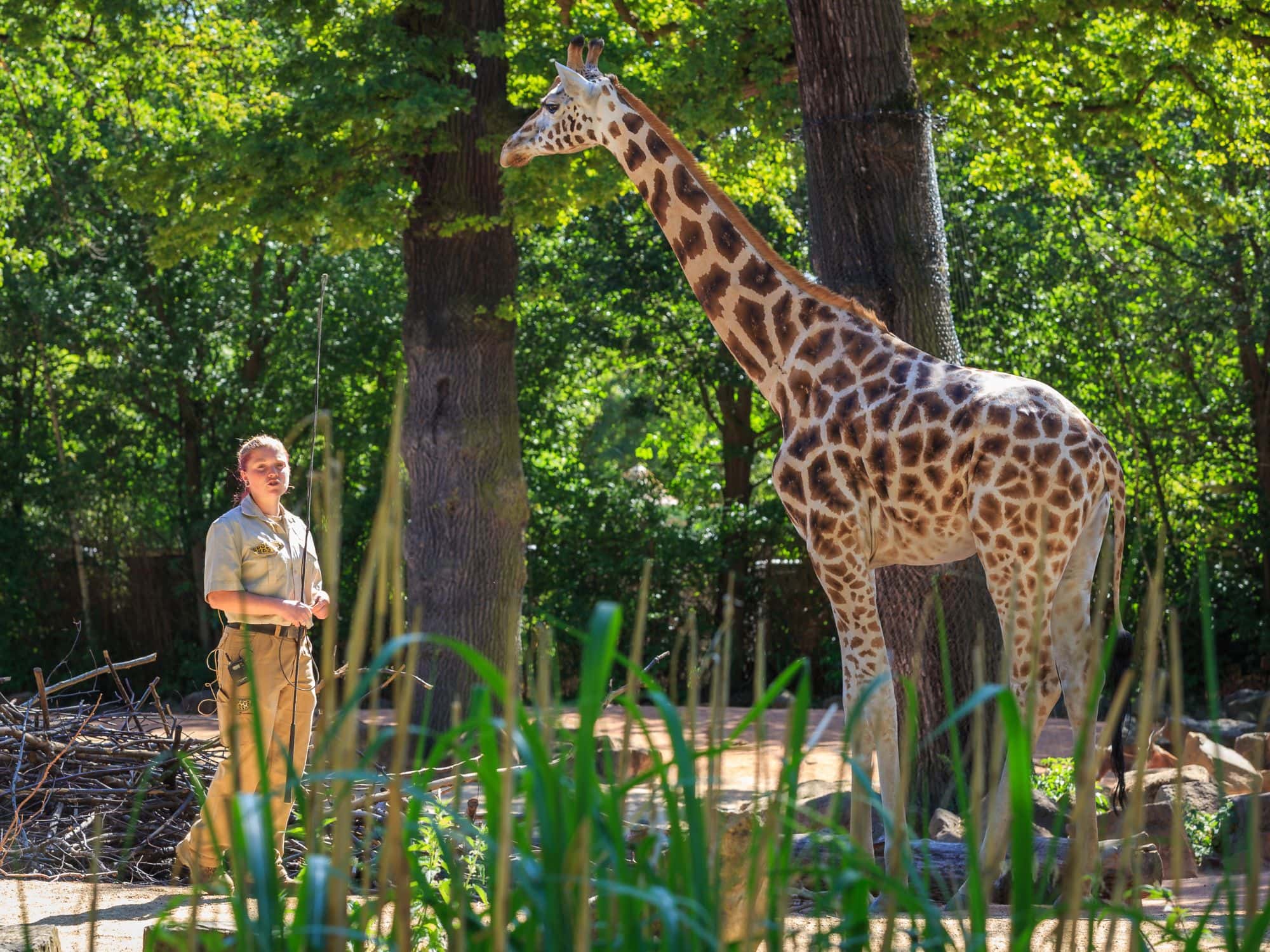 Erlebnis-Zoo Hannover