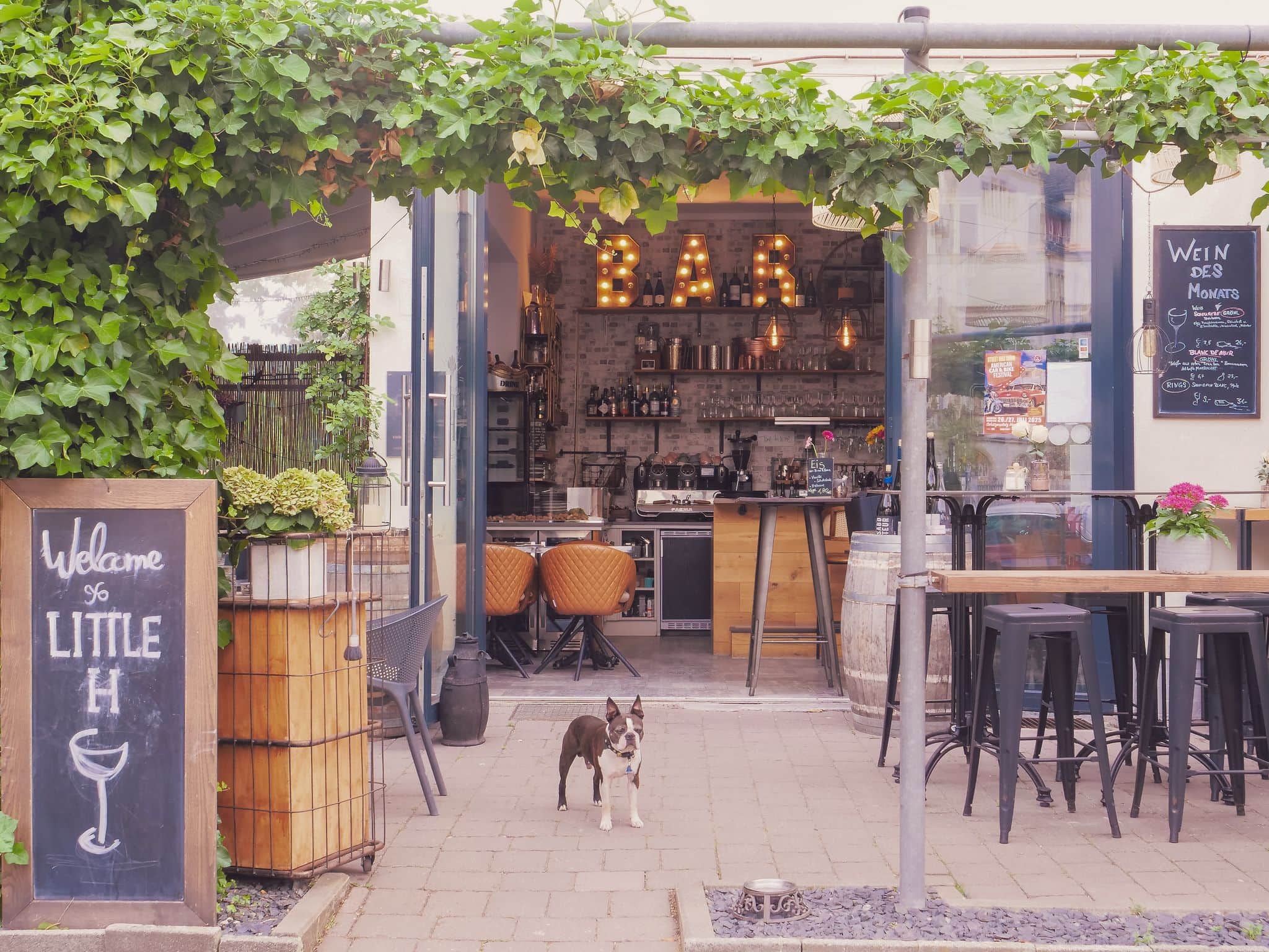 PHOTO-2025-06-23-09-32-41