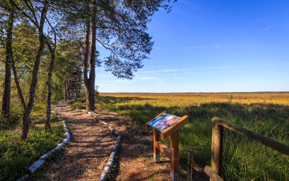 Wedemark-12-e1640112227936