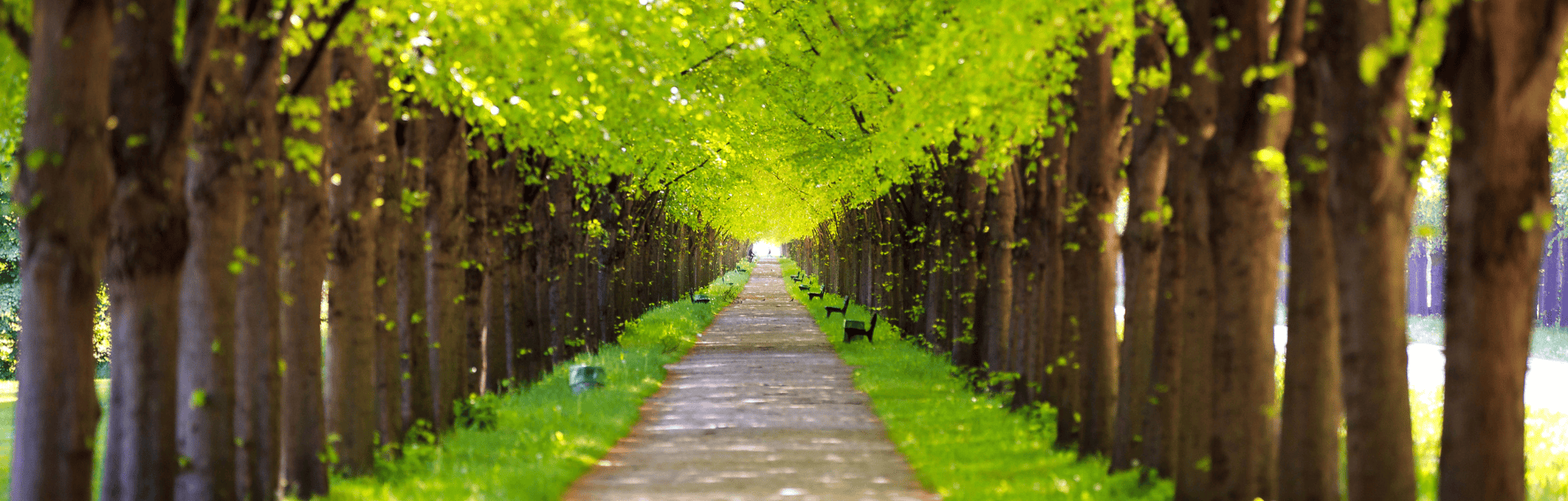 Design-ohne-Titel175