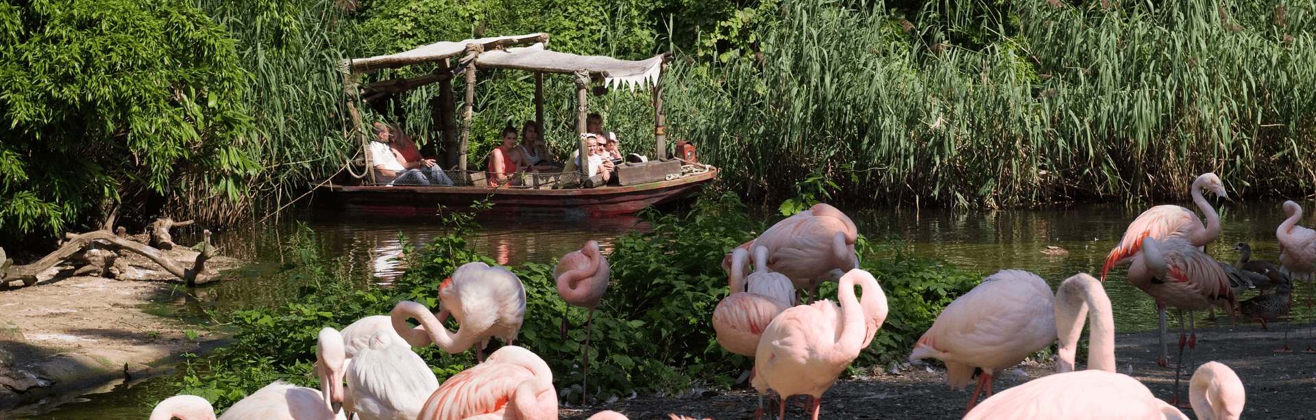 Design-ohne-Titel178