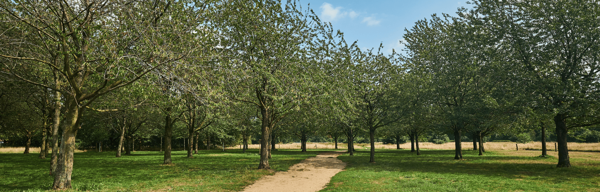 Design-ohne-Titel183