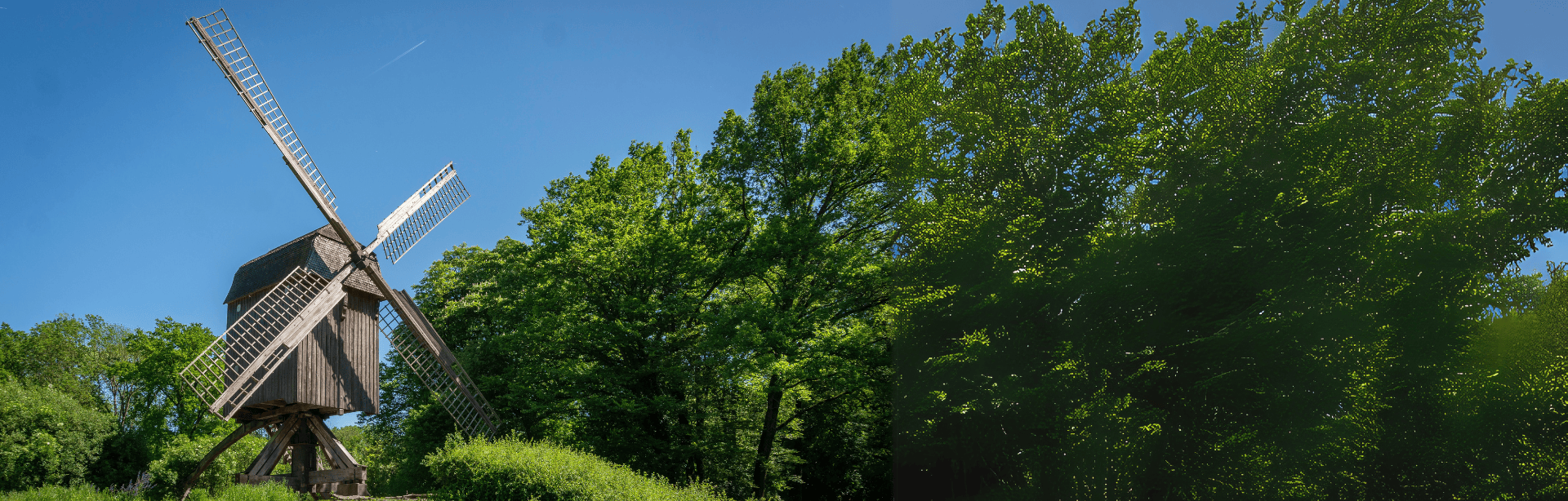 Design-ohne-Titel185