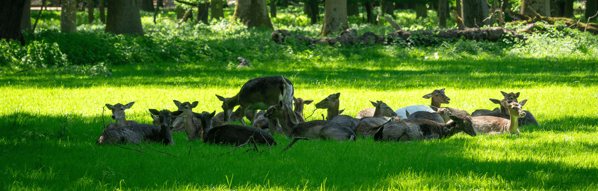 Design-ohne-Titel186