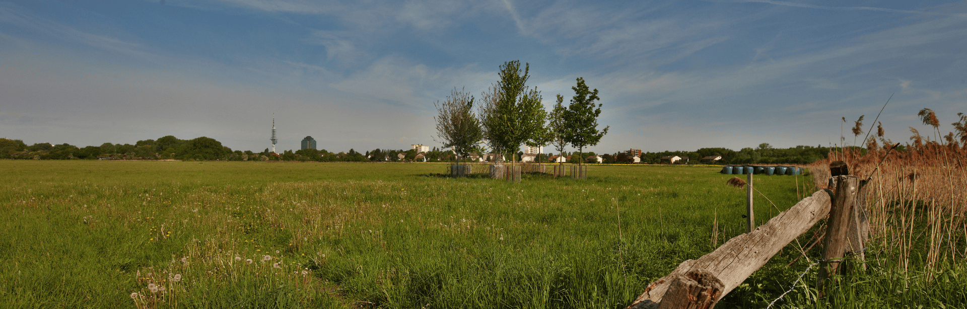 Design-ohne-Titel187