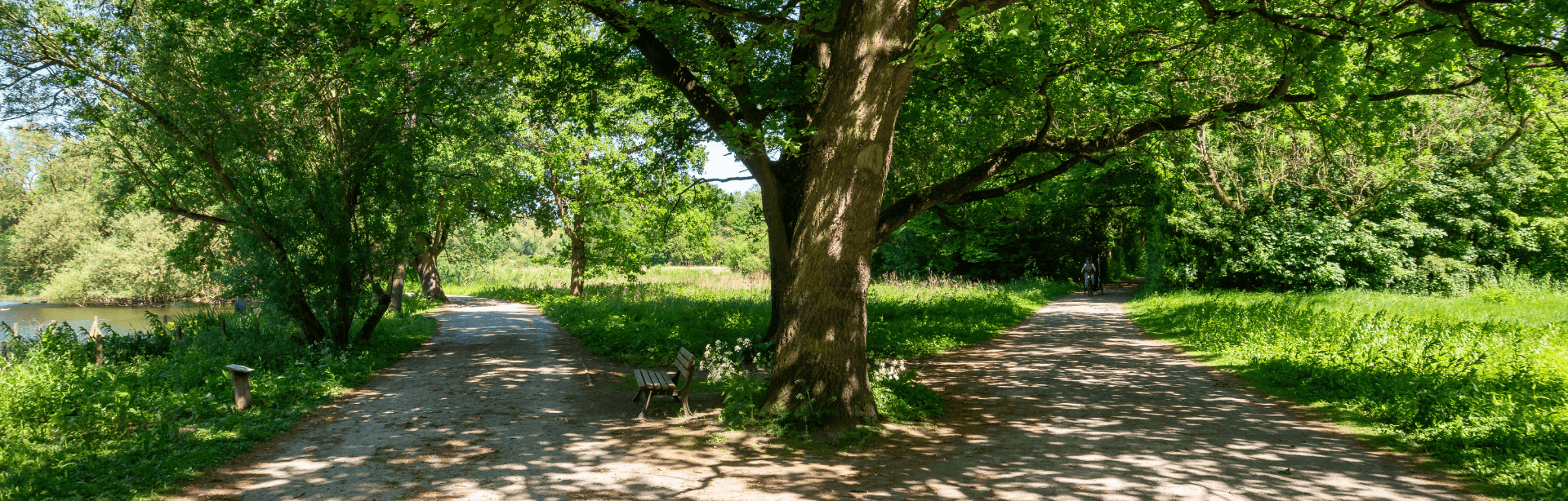 Design-ohne-Titel205