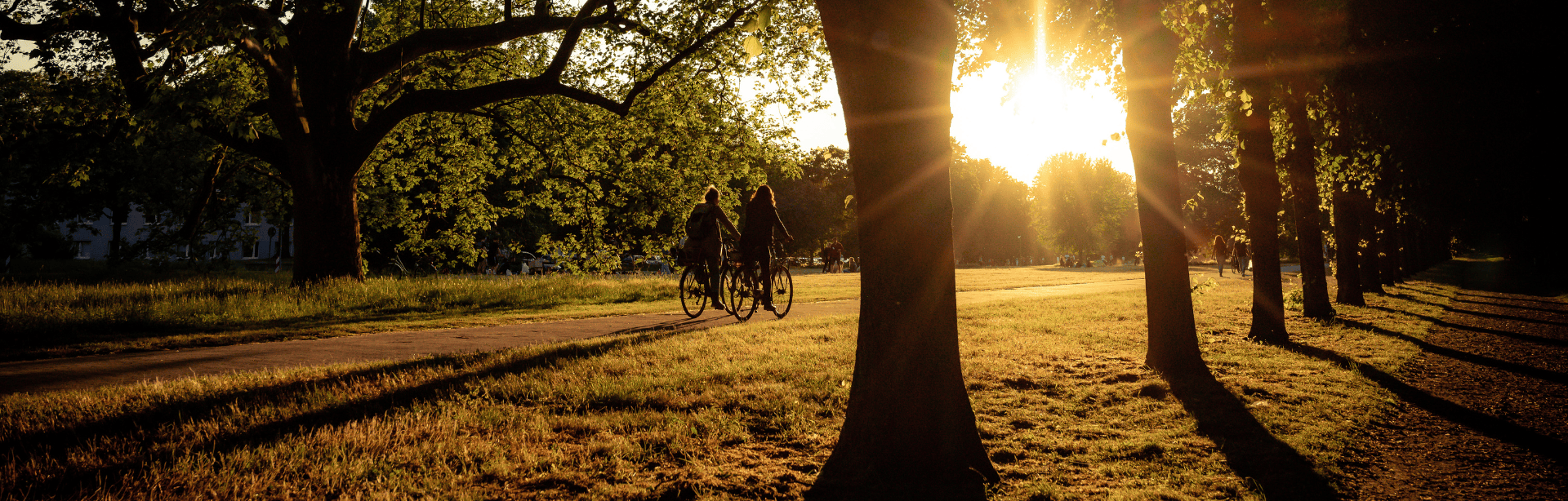 Design-ohne-Titel207