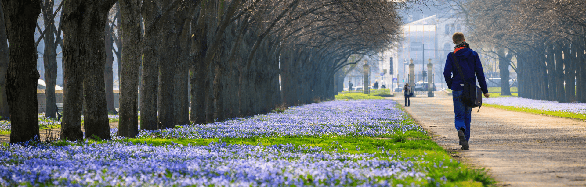 Design-ohne-Titel208