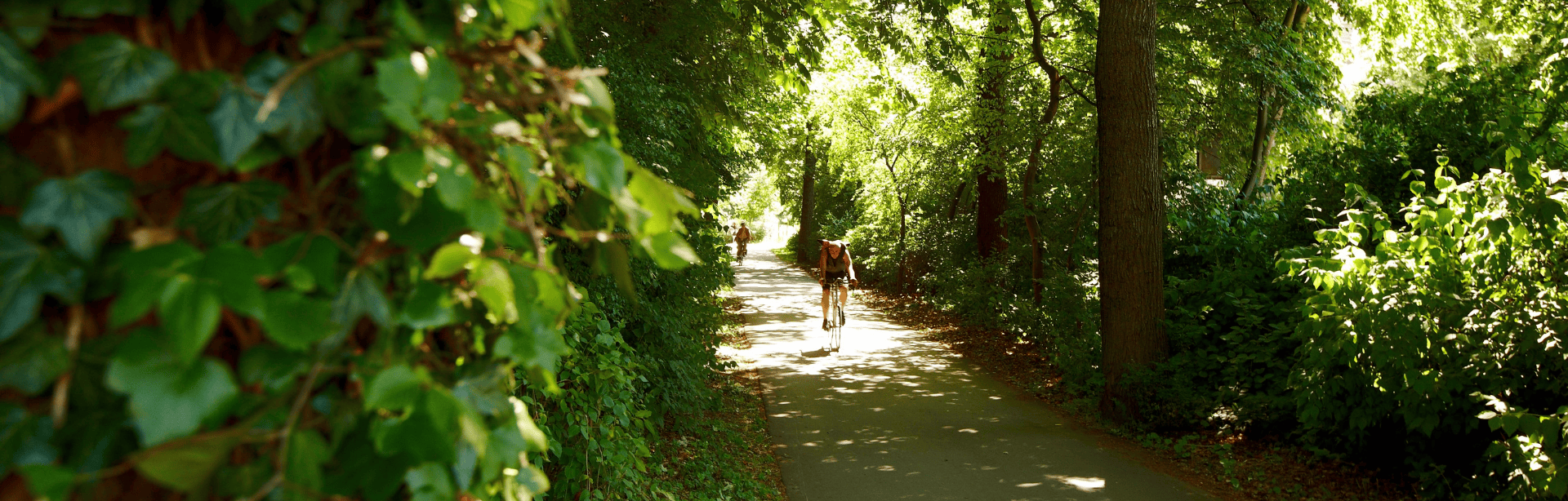 Design-ohne-Titel212