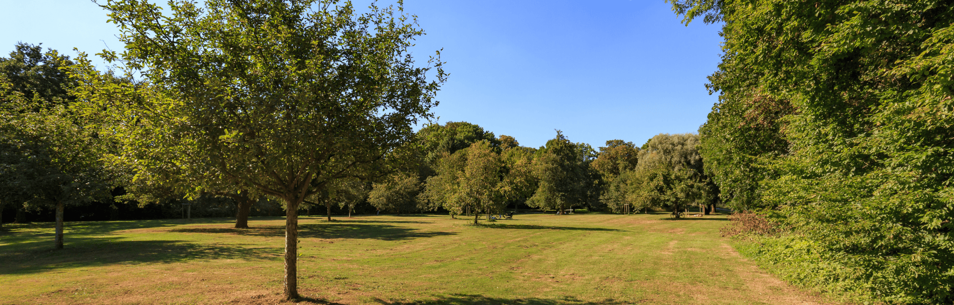 HL-Header-Stadtteile