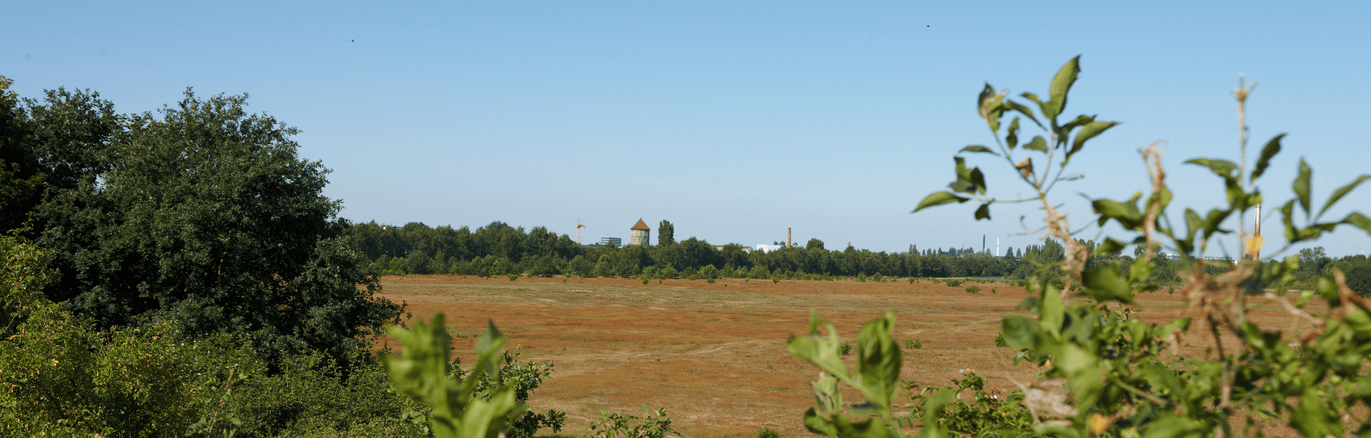 HL-Header-Stadtteile4