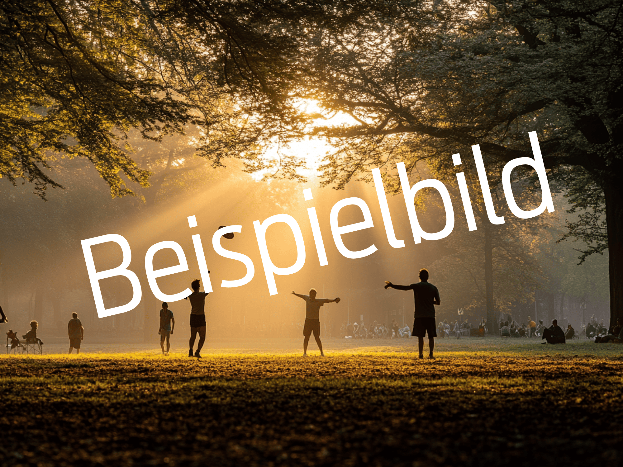Beispielbild1