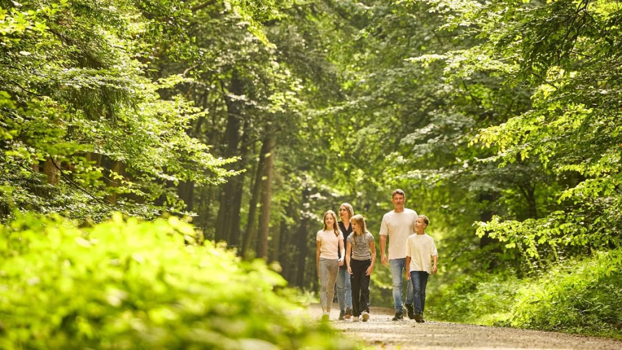 Ruhe und Natur im Hannover-Living Wald Erlebnis, Familienausflug in grüner Umgebung.